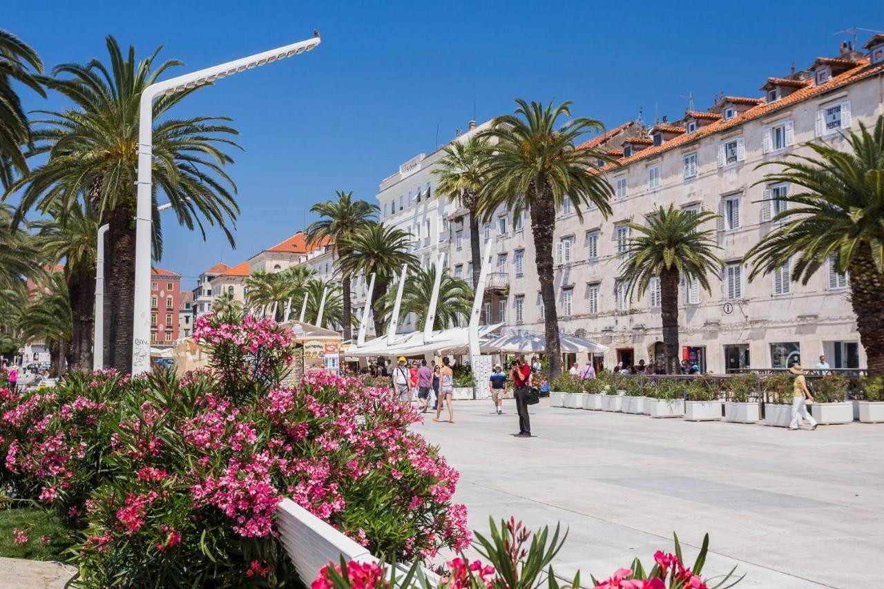Appartments Villa Daria Marusici  外观 照片